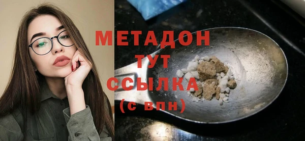 дмт Богданович