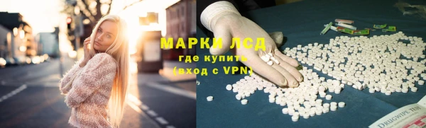 spice Богородск
