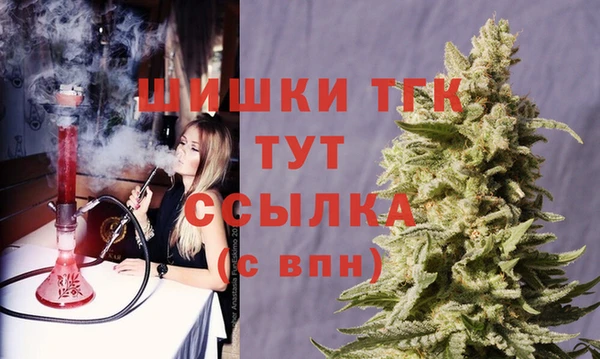 дмт Богданович