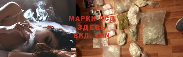дмт Богданович