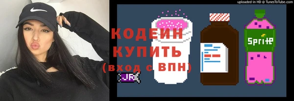 дмт Богданович