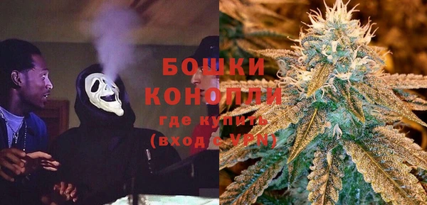 2c-b Белокуриха