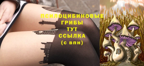 spice Богородск
