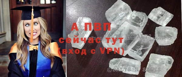 спайс Богородицк