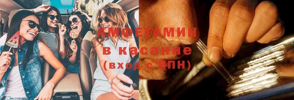 spice Богородск