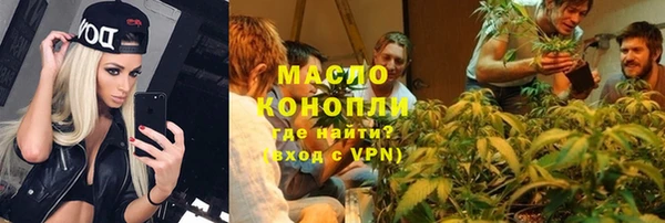дмт Богданович