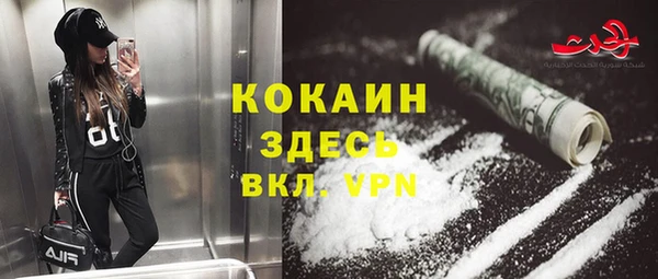 дмт Богданович