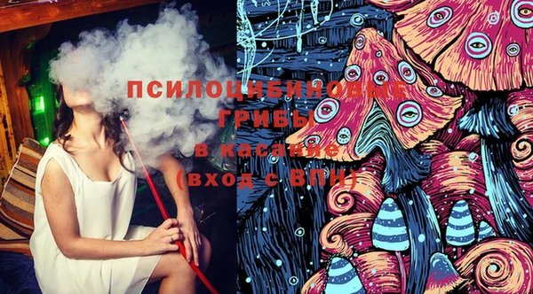 дмт Богданович