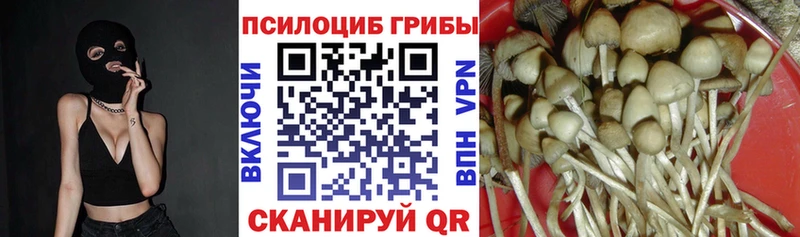 Псилоцибиновые грибы GOLDEN TEACHER  Великие Луки 